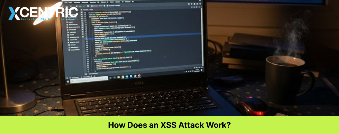 How Does an XSS Attack Work?