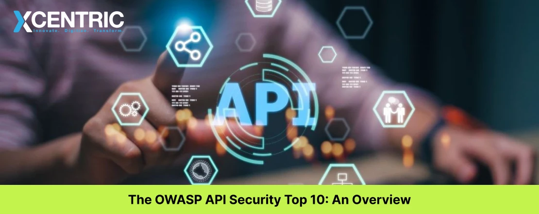 The OWASP API Security Top 10: An Overview