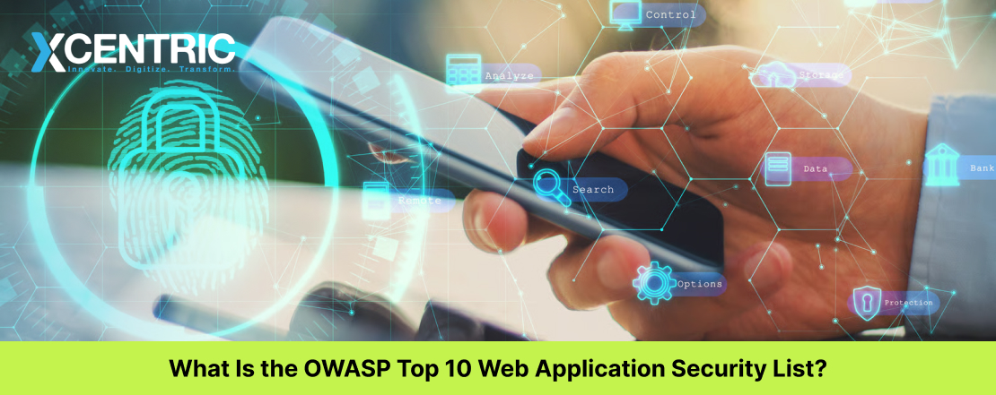 What Is the OWASP Top 10 Web Application Security List?