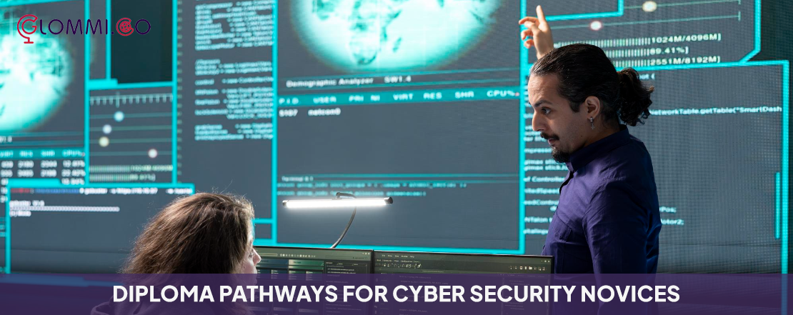 diploma pathways for cyber security novices